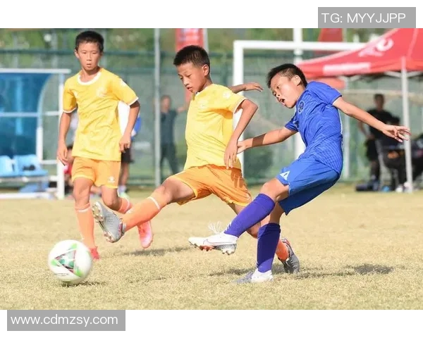 探索U12足球的成长之路培养未来足球明星的关键因素与训练方法